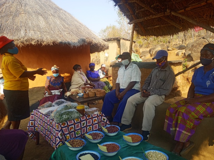 Community consultation session under a thatched shelter