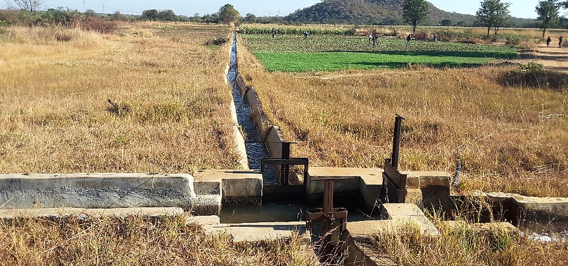 Irrigation field and canal in a rural agricultural area