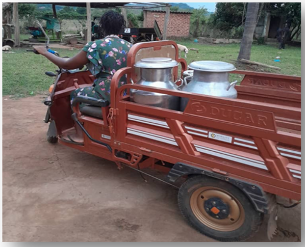 Motorised cart transporting dairy containers for a value chain project