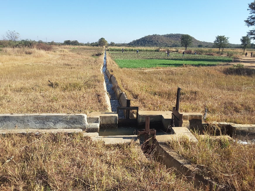 Irrigation field and canal in a rural agricultural area