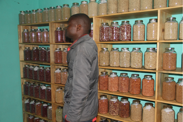 Agroecology seed collection displayed on shelves for the TSASAZ project